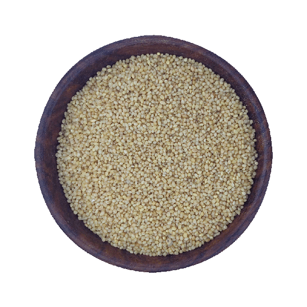 Protein Rich Foxtail Millet