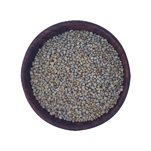 Pearl Millet in a Bowl